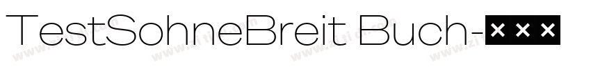 TestSohneBreit Buch字体转换